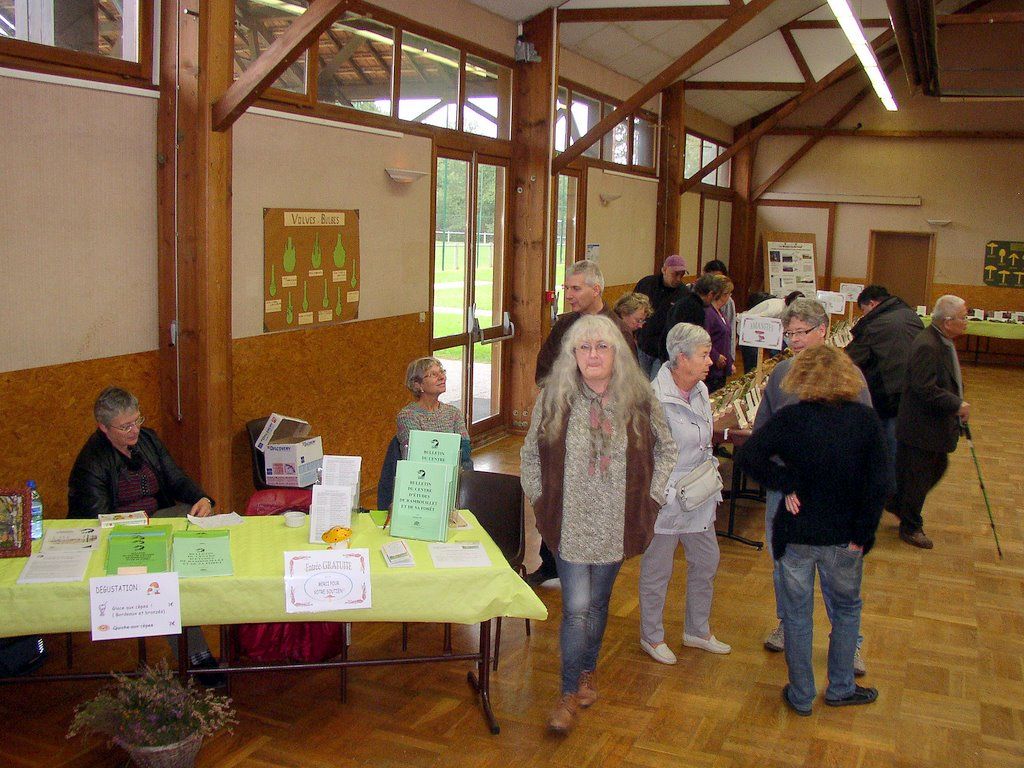 Expo champignons a Conde sur Vesgre 07